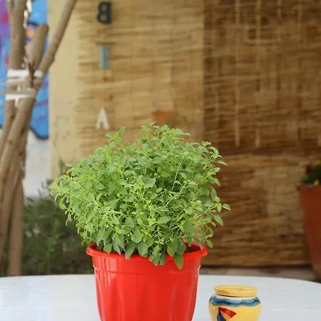 Babina's Place-traditional House In *